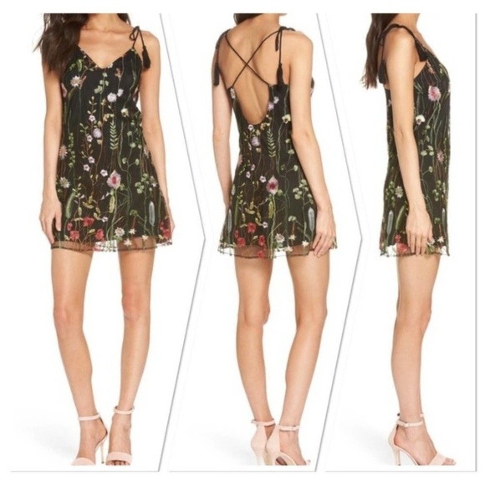 Embroidered Mesh Mini Dress Medium Black Dark Romantic Floral Low Back Tassels